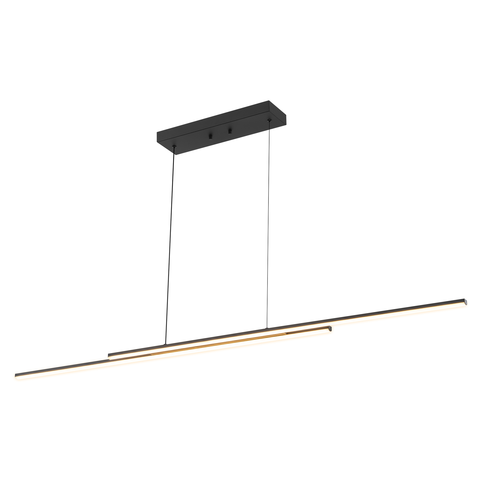 Rennnsan Sam 2-Light Pendant KI8101-62038 in matte black, isolated on white